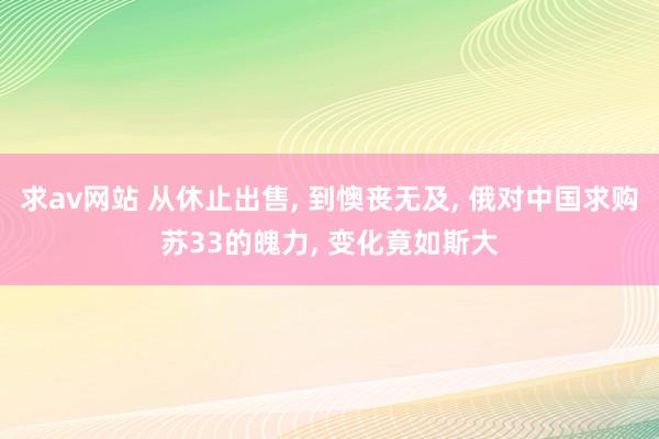 求av网站 从休止出售, 到懊丧无及, 俄对中国求购苏33的魄力, 变化竟如斯大