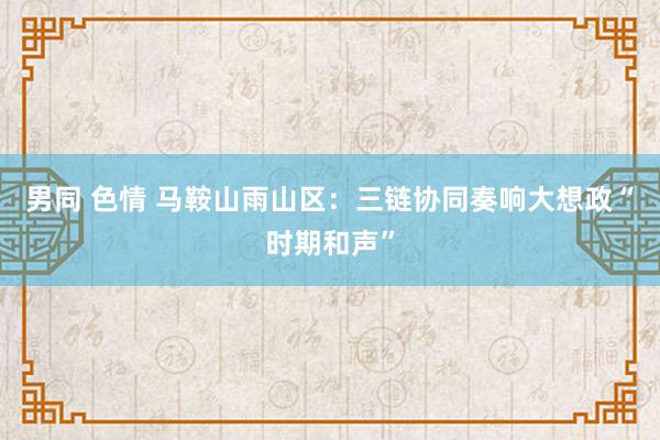 男同 色情 马鞍山雨山区：三链协同奏响大想政“时期和声”