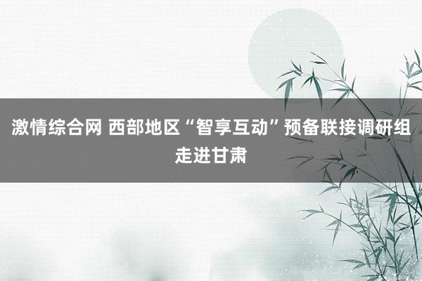 激情综合网 西部地区“智享互动”预备联接调研组走进甘肃
