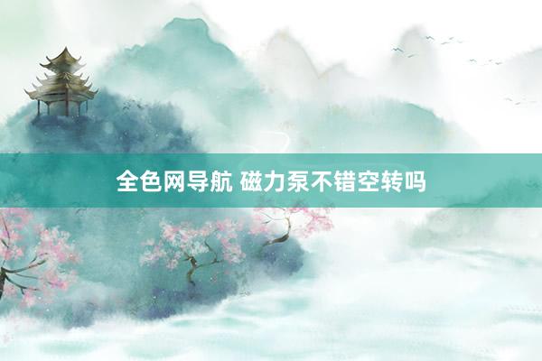 全色网导航 磁力泵不错空转吗
