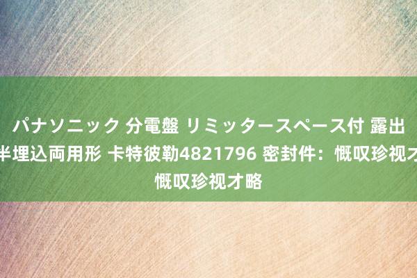 パナソニック 分電盤 リミッタースペース付 露出・半埋込両用形 卡特彼勒4821796 密封件：慨叹珍视才略