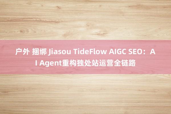 户外 捆绑 Jiasou TideFlow AIGC SEO：AI Agent重构独处站运营全链路