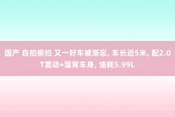 国产 自拍偷拍 又一好车被渐忘, 车长近5米, 配2.0T混动+溜背车身, 油耗5.99L