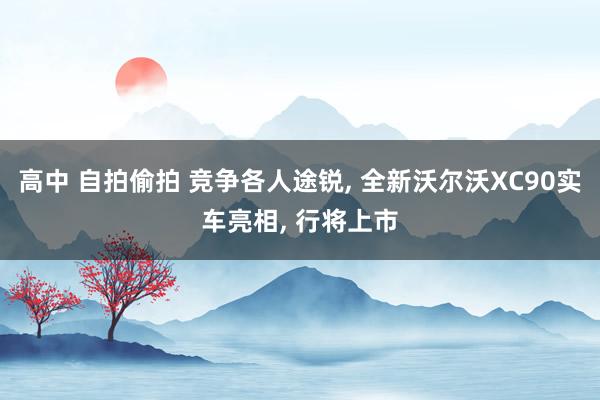高中 自拍偷拍 竞争各人途锐, 全新沃尔沃XC90实车亮相, 行将上市