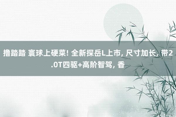 撸踏踏 寰球上硬菜! 全新探岳L上市, 尺寸加长, 带2.0T四驱+高阶智驾, 香