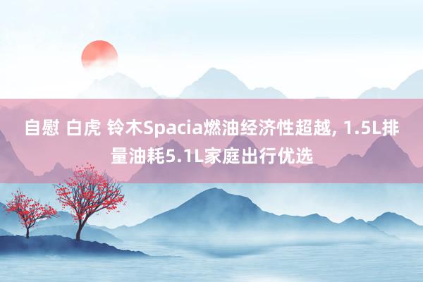 自慰 白虎 铃木Spacia燃油经济性超越, 1.5L排量油耗5.1L家庭出行优选