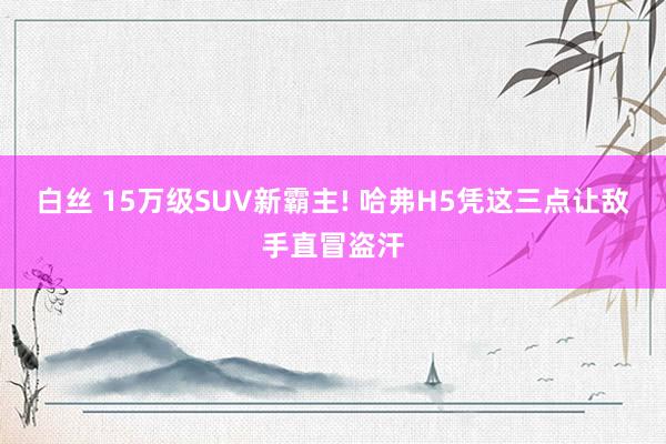 白丝 15万级SUV新霸主! 哈弗H5凭这三点让敌手直冒盗汗