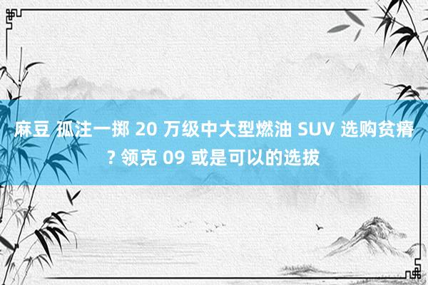 麻豆 孤注一掷 20 万级中大型燃油 SUV 选购贫瘠? 领克 09 或是可以的选拔