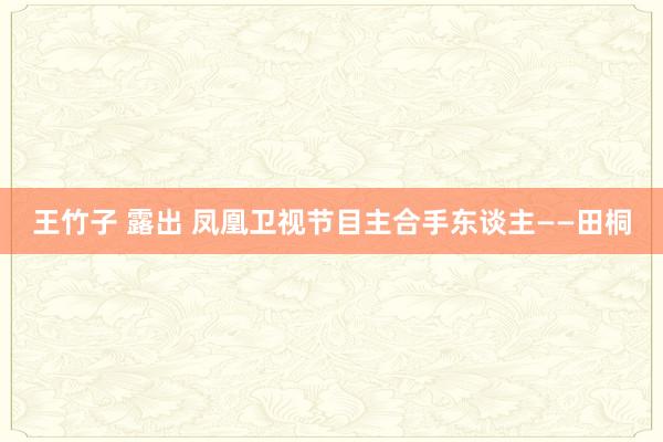 王竹子 露出 凤凰卫视节目主合手东谈主——田桐