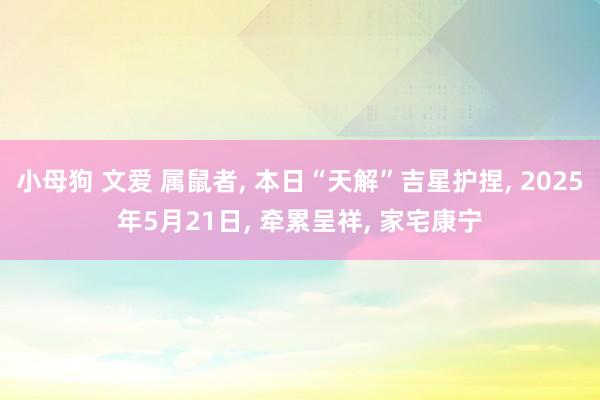 小母狗 文爱 属鼠者, 本日“天解”吉星护捏, 2025年5月21日, 牵累呈祥, 家宅康宁