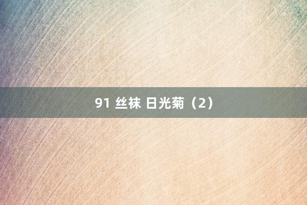 91 丝袜 日光菊（2）