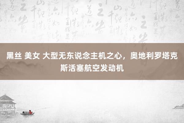黑丝 美女 大型无东说念主机之心，奥地利罗塔克斯活塞航空发动机