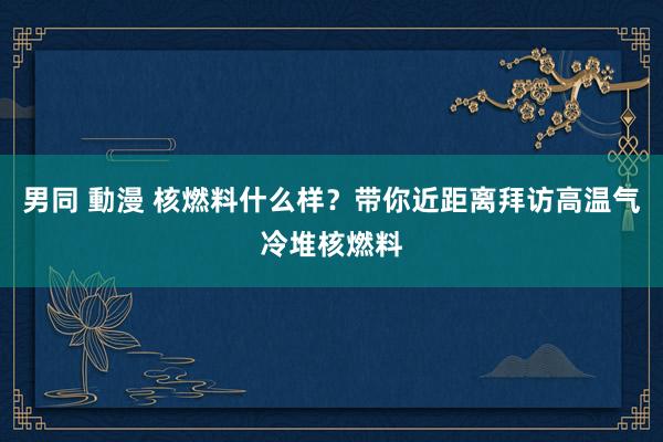 男同 動漫 核燃料什么样？带你近距离拜访高温气冷堆核燃料