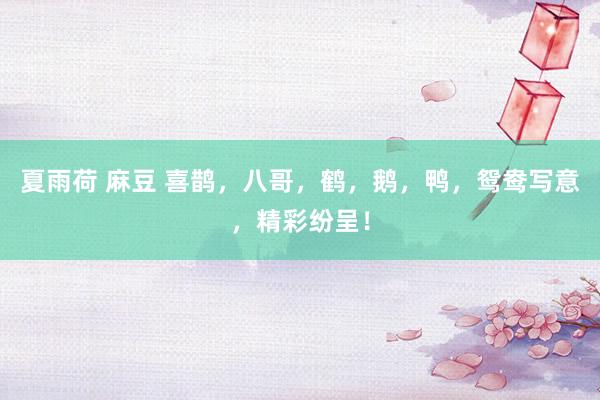 夏雨荷 麻豆 喜鹊，八哥，鹤，鹅，鸭，鸳鸯写意，精彩纷呈！