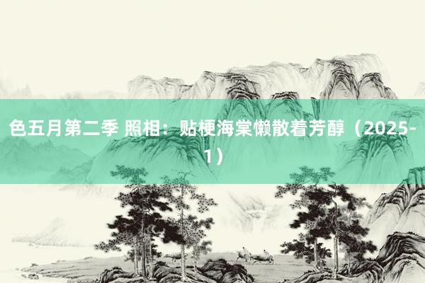 色五月第二季 照相：贴梗海棠懒散着芳醇（2025-1）