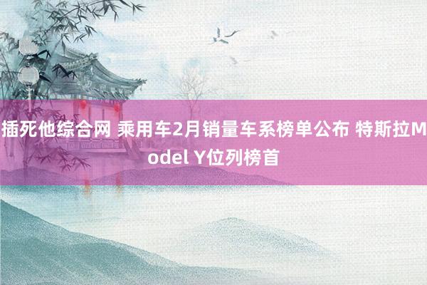 插死他综合网 乘用车2月销量车系榜单公布 特斯拉Model Y位列榜首