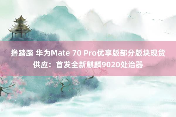 撸踏踏 华为Mate 70 Pro优享版部分版块现货供应：首发全新麒麟9020处治器