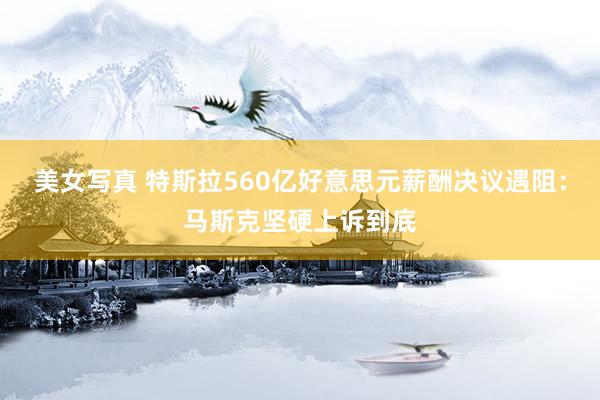 美女写真 特斯拉560亿好意思元薪酬决议遇阻：马斯克坚硬上诉到底