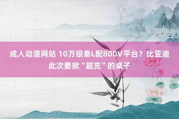 成人动漫网站 10万级秦L配800V平台？比亚迪此次要掀“超充”的桌子
