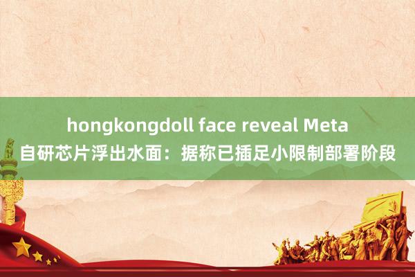 hongkongdoll face reveal Meta自研芯片浮出水面：据称已插足小限制部署阶段